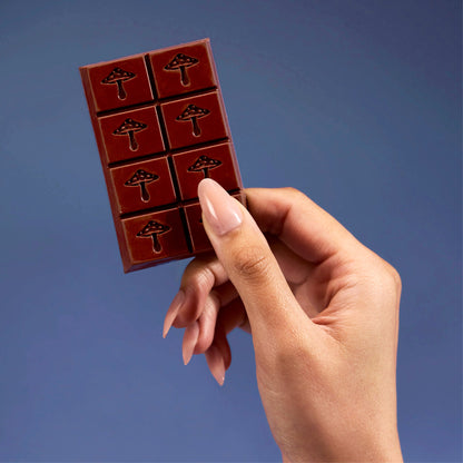 Zen-X Functional Mushroom Chocolates
