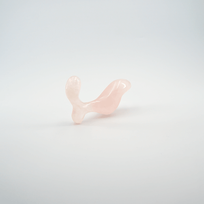 Crave - Crafted for Elegance and Sensory Delight