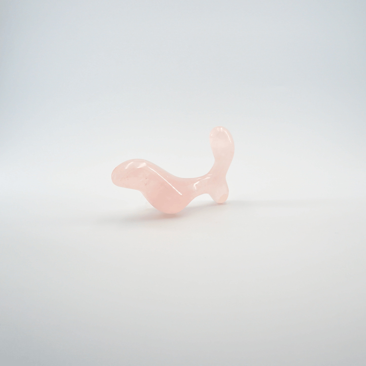 Crave - Crafted for Elegance and Sensory Delight