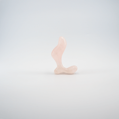 Crave - Crafted for Elegance and Sensory Delight