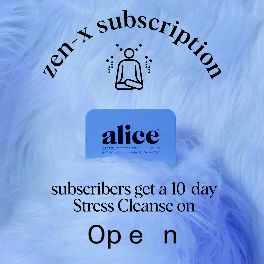 Zen-X Functional Mushroom Chocolates