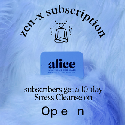 Zen-X Functional Mushroom Chocolates